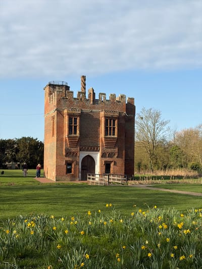The image depicts Rye House Gatehouse, located in East Hertfordshire, United Kingdom, under a clear blue sky with scattered white clouds. The prominent subject is the red brick gatehouse, rendered in a Tudor architectural style, featuring a castellated parapet with battlements. A distinctive spiral chimney stack rises from the roofline, and a small, circular observation platform or balcony is visible on the top left corner of the structure. The building has multiple tall, rectangular mullioned windows with stone dressings. A large, arched wooden door, framed by white stone trim, is centered on the ground level, fronted by a low wooden fence or barrier.
In the immediate foreground, a vibrant green lawn is visible, interspersed with clusters of blooming yellow daffodils. To the left of the gatehouse, two individuals and a small, black dog are present on the grass. One person, dressed in dark clothing, walks away from the camera, accompanied by the dog. The second person, with light-colored hair, wears a red top and dark trousers, facing slightly towards the gatehouse.
The background on the left features dense, dark green evergreen trees. To the right, a broader expanse of deciduous trees, mostly bare, suggests early spring foliage. A patch of tall, dry reeds or grasses is situated between the gatehouse and these distant trees, with a faint dirt path visible cutting through the grass on the right. The scene is illuminated by natural daylight, casting subtle shadows.