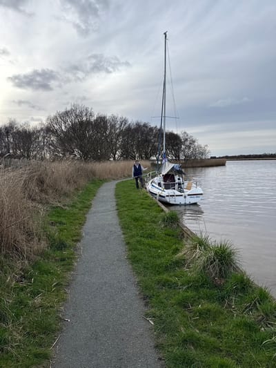 The image displays a daytime outdoor scene featuring a single individual standing on the bank of a calm, brownish-grey waterway, likely within the North Norfolk Broads area of the United Kingdom, characterized by its flat landscape, reed beds, and water bodies. The sky is overcast with uniform grey clouds.

A white sailboat, named "Misty Blue" on its stern, is moored alongside the grassy bank. It features blue stripes on its hull, a tall mast without sails deployed, and a grey cover draped over its boom. Yellow lines are visible on the deck. The individual, an adult, is dressed in dark trousers, a light top, and a dark sleeveless vest, with sunglasses worn on their head or face. They stand on the grass directly adjacent to the sailboat, facing partially towards the camera.

To the left of the individual and parallel to the water's edge runs a grey gravel path. The bank between the path and the water consists of short green grass and some clumps of darker green vegetation. Beyond the path, a dense expanse of tall, dry, light-brown reeds lines the left side of the scene. In the middle ground, a line of bare deciduous trees stretches horizontally across the frame. Further across the water, additional reed beds and a distant, indistinct building are visible on the opposing bank.