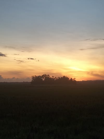 The image captures a serene sunset scene in Meunasahlueng, Indonesia. The sky displays a gradient of soft blues at the top, transitioning into warm hues of yellow and orange as it approaches the horizon. Wispy clouds are scattered across the sky, catching the last rays of sunlight. In the mid-ground, a silhouette of trees and foliage forms a dark line against the vibrant sky. The foreground is dominated by a dark expanse, likely a field or grassland, rendered almost entirely in shadow. No people or specific structures are clearly discernible, giving the image a natural and tranquil ambiance.