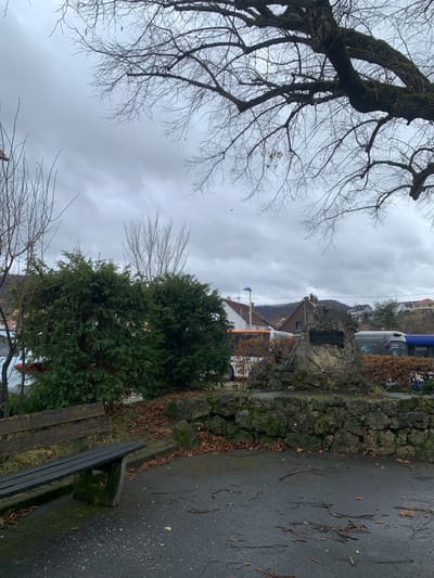 The image displays an outdoor scene in Neuffen, Germany, under a uniformly overcast gray sky, indicative of late autumn or winter. In the immediate foreground, a weathered dark wooden park bench rests on dark, damp pavement scattered with brown deciduous leaves and small twigs. Immediately behind the bench, a low retaining wall constructed from irregular, moss-covered stones extends horizontally across the frame.

Centrally located in the midground is a prominent rock monument, also built from large, irregular, moss-covered stones, featuring a dark, rectangular plaque affixed to its front surface. To the left of this monument, two dense evergreen bushes with dark green foliage partially obscure a paved area where a white vehicle with a visible red taillight is parked. Behind these bushes and to the left of the monument, a large orange and white passenger bus is visible, with a blue-topped streetlight positioned above it. Further to the right, behind the rock monument, a gray bus or similar large vehicle is partially visible.

The background consists of several residential buildings with light-colored facades and tiled roofs. Distant rolling hills, covered in a mix of bare deciduous trees and some evergreens, form the horizon. The upper portion of the image is dominated by the intricate network of bare, gnarled branches of a large deciduous tree, some appearing moss-covered, framing the scene from the upper right. No individuals are present in the scene.