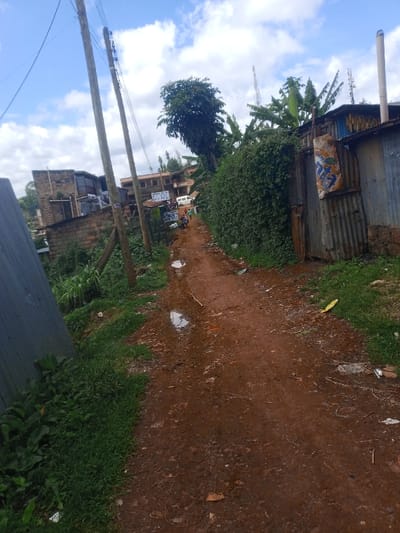 The image depicts an unpaved reddish-brown dirt path, characteristic of a street or alleyway, located in Kangema, Kenya. Several puddles of water are present on the path, indicating recent moisture. The ground is uneven, with scattered small debris and patches of green grass and vegetation growing along its edges.

On the left side of the path, a dark grey corrugated metal fence or wall is partially visible in the foreground. Further along, two wooden utility poles with overhead wires run parallel to the path. Beyond these poles, a cluster of multi-story buildings constructed from stone or concrete blocks are visible, one featuring an angular roofline. Multiple commercial signs are discernible in the mid-distance, including one that appears to read "EMMAN SHOP" and another blue sign with white text. Green crates or containers are stacked near one of the storefronts. Several indistinct figures of people are visible on the path near these commercial structures.

The right side of the path is bordered by dense green vegetation, primarily a tall hedge or thick bush. Behind this foliage, structures made of corrugated metal sheets are visible. One such structure displays a colorful banner or textile with blue and yellow patterns affixed to its exterior. Another corrugated structure features a tall, slender, light-colored pipe extending vertically from its roof. Tall trees with dense green leaves and banana plants rise above these structures. In the far distance on the right, multiple communication towers or antennas are visible against a partly cloudy sky. The sky shows patches of blue with white and light grey clouds.