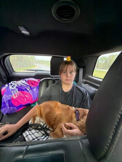 A girl with a yellow duck hair clip is in the back seat of a car. She is holding a brown dog. A purple and pink shopping bag is on the seat beside her. The car window shows trees and a field. This image appears to be taken inside a vehicle, but there is no information that it is located in Savinskoye Sel'skoye Poseleniye, Russia.