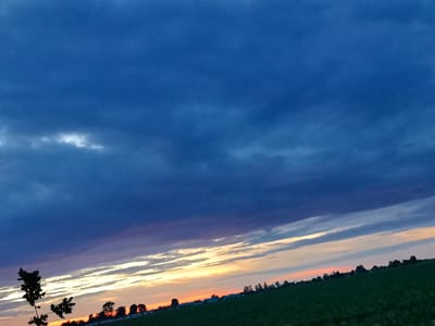 This is a horizontal, eye-level, medium shot photograph capturing a rural landscape at dusk. The sky dominates the upper two-thirds of the frame, displaying a dramatic gradient of deep blues, purples, and oranges, indicative of a sunset. Streaks of white clouds intersperse the darker tones, with brighter yellow and orange hues concentrated towards the horizon.

The lower third of the image depicts a rolling green field, a subtle slope leading towards the horizon. Silhouetted against the colorful sky is a line of trees and shrubs forming a distant tree line. To the left foreground, a solitary, dark silhouette of a tree with sparse branches is visible. The overall atmosphere is serene and tranquil, characterized by the muted colors and the vast expanse of the sky. The location is identified as the city of Pinsk, Belarus.