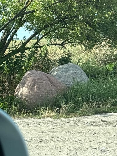 The image shows two large boulders in a grassy area, with trees and foliage in the background. A dirt or gravel road is in the foreground. The sky is visible through the trees. The scene is outdoors in a natural environment. The boulders appear to be of different colors and textures, one is reddish-brown and the other is grayish-green. The grass is tall and green, with some dry stalks. The trees are leafy and provide shade. The road in the foreground is light-colored and appears to be composed of small stones and dirt. The overall impression is of a rural or semi-rural landscape.