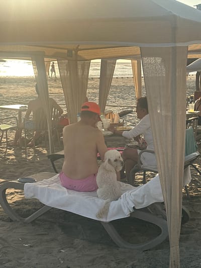 The photograph depicts a beach scene in Acapulco de Juárez, Mexico. A man wearing a pink swimsuit and an orange baseball cap sits in a beach chair, holding a white poodle. A woman is seated nearby, appearing to prepare drinks or snacks. Beachgoers are visible in the background, and the ocean is present. The scene is partially shaded by a light-colored awning.
