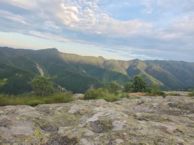 This is a landscape photograph taken from a high vantage point, likely a mountain peak. The image is oriented sideways. In the foreground, there is a large, rocky surface covered in patches of lichen, giving it a mottled green and gray appearance. Below the rocky outcrop, there is a line of green grass and some scattered bushes and trees.

The middle ground of the image features a vast expanse of rolling green mountains, densely covered in trees. The slopes are steep and show a pattern of ridges and valleys. The lighting suggests it is either early morning or late afternoon, with some areas of the mountains illuminated by sunlight while others are in shadow, creating a sense of depth and texture.

The background consists of a wide, pale blue sky filled with scattered white clouds. The clouds are fluffy and appear to be illuminated from above, indicating the sun is relatively low on the horizon. The overall mood of the image is serene and majestic, evoking a sense of natural beauty and tranquility. The location is Sini Vrah, Bulgaria. No people, objects, text, or specific events are visible.