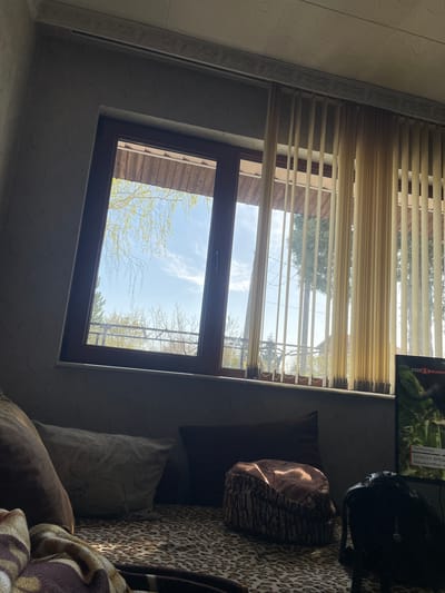 The image shows an interior view looking out a window. The window has vertical blinds, and the view outside reveals trees with budding leaves under a bright, partially cloudy sky. The window frame is dark brown. Inside, the wall has a patterned texture. A portion of a television screen is visible in the upper right, along with pillows and a blanket with a leopard print. The location is Rupkite, Bulgaria.