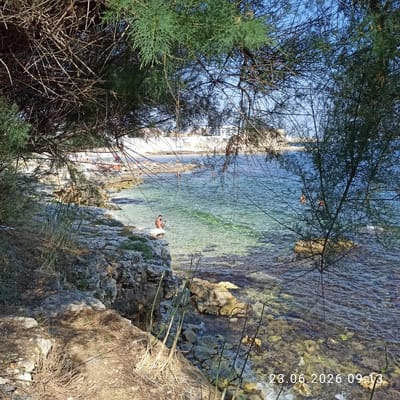 The image depicts a rocky coastline with clear, shallow water. In the foreground, dry grasses and branches from trees obscure the view. A man is sitting on a rock near the water's edge, looking at his phone. Further out in the water, several people are swimming or wading. In the distance, a sandy beach with umbrellas and sunbathers is visible, along with buildings in the background. The scene is characteristic of a coastal area in Molfetta, Italy, likely a public beach or a rocky cove. The date stamp "23.06.2026 09:13" indicates when the photo was taken.