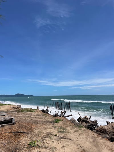 The image depicts a coastal scene in บ้านท่าฉัตรไชย, Thailand, under a clear blue sky with sparse, wispy white clouds. The turbulent, dark green-blue ocean occupies the middle ground, featuring numerous white breaking waves crashing towards the shore. A distant, dark green mountainous landmass is visible on the far left horizon. The foreground consists of an eroded sandy beach, characterized by light brown sand, darker soil patches, and scattered pebbles. Prominent features include several large pieces of driftwood and tree stumps along the severely eroded bank. On the left, a weathered wooden structure, possibly a damaged walkway, with a small metal utility box is partially visible. Extending from the eroded bank into the breaking waves are multiple dark, vertical wooden poles or pilings, suggesting remnants of a pier or coastal barrier. Sparse green vegetation grows in patches on the sandy ground. No individuals are present in the scene.