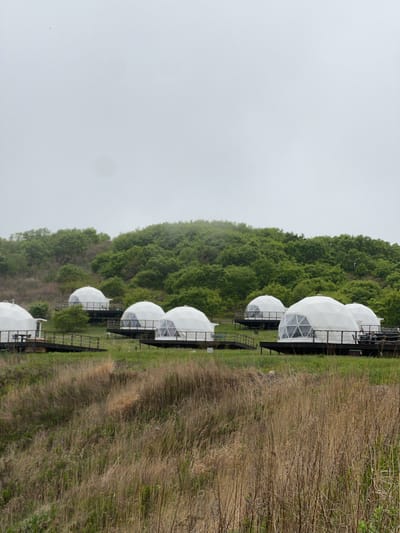 The image depicts a series of white geodesic domes situated on a grassy area in Zarubino, Russia. The domes are aligned in a row, with each appearing to be elevated on a platform. A metal framework or structure is visible around each dome, and some have staircases leading up to them. Adjacent to the domes is a dense treeline, with a field of tall, dry grass occupying the space on the other side. The sky above is overcast and gray.