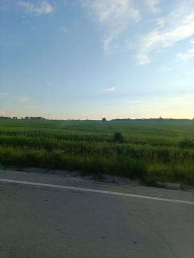 This media file captures a wide-angle view of a rural landscape under a clear blue sky with wispy white clouds. The scene is dominated by a vast, lush green field, likely a crop, stretching towards a distant treeline. The field appears to be thriving, suggesting a warm, sunny day. In the foreground, a paved road runs horizontally across the bottom of the frame, with a white line marking its edge. The road shows signs of wear, with cracks and some debris visible. The perspective suggests the image was taken from a moving vehicle on the road, looking out towards the field.

The time of day appears to be late afternoon or early evening, as indicated by the soft, diffused light and the warm glow on the horizon. The weather is fair and pleasant, with a gentle breeze suggested by the way the clouds are scattered and the slight blur in the foreground due to movement. There are no people or prominent objects in the field itself, except for a few scattered trees and what might be a distant structure or silo, barely visible against the horizon. The overall mood is one of tranquility and openness, evoking the peace of a rural setting. No text is visible in the image.