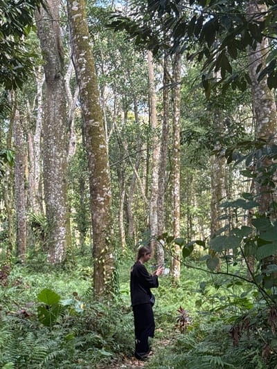 The image depicts a dense forest with tall trees and lush green undergrowth. A woman dressed in black is standing in the middle of the scene, holding a smartphone and appearing to take a photograph. She is positioned amidst the foliage, with the forest floor covered in ferns and other plants. The trees have textured bark, some with patches of lichen. The overall impression is of a natural, verdant environment. The location is identified as Jurit Baru, Indonesia.