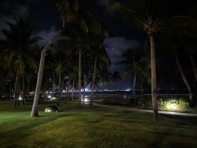 This is a nighttime photograph of a park-like area with palm trees in the foreground and a distant city skyline across a body of water. The scene is illuminated by artificial lights, including path lights and lights from the distant buildings. In the middle ground, a large, smooth, metallic, dome-shaped object rests on the grassy lawn, reflecting the surrounding lights. The sky is dark with scattered clouds, and a faint crescent moon is visible. The palm trees are silhouetted against the night sky, and their fronds cast shadows on the grass. The overall impression is one of a tropical resort or park at night, with a hint of urban activity in the distance. The location is identified as Tianya District, China, suggesting a coastal setting.