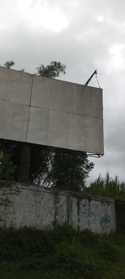 This media file captures a desolate, overgrown scene in Mayawso, Sierra Leone, focusing on a large, blank billboard under an overcast sky. The central subject is a billboard, appearing to be constructed from multiple grey, rectangular metal panels, indicating it is currently unused or awaiting new advertisement. A dark, metallic support structure, possibly for lighting or maintenance, extends upwards from the top right edge of the billboard.
Behind and above the billboard, lush green trees and foliage are visible, with some small trees or bamboo shoots growing directly on top of the billboard structure. Below the billboard, a robust concrete wall or barrier, stained and aged, features discernible blue graffiti, though the specific words are unclear, appearing to include partial letters like "ULWA" or "GLWA" and "NA". In front of and around this wall, a dense array of green vegetation, including tall grasses and smaller plants, thrives, suggesting an unkempt or wild environment.
The sky is heavily overcast with uniform grey clouds, creating soft, diffused light and indicating a cloudy or potentially rainy day. There are no people visible, and no specific activities are taking place. The overall impression is one of abandonment and nature reclaiming man-made structures, evoking a sense of stillness and neglect. The vibrant greenery contrasts sharply with the weathered concrete and blank metallic surfaces.