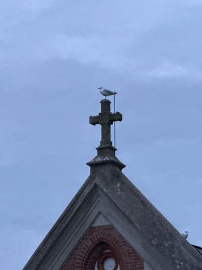 A seagull stands on top of a concrete cross that is mounted on a church spire in Palanga, Lithuania. The sky is overcast and gray. Another seagull is visible on the roof of the church.