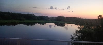 This image depicts a tranquil river scene at dusk in Seliyarovo, Russia. The foreground features a concrete barrier with a metal railing, suggesting a bridge or walkway overlooking the river. The river itself is calm, reflecting the twilight sky and the dark silhouettes of trees lining its banks. The sky transitions from a pale blue near the horizon to soft hues of pink and orange, indicating the sun has recently set. Scattered clouds dot the sky, with a few appearing as wispy formations. A thin, dark line runs horizontally across the upper portion of the image, likely representing power lines. The overall atmosphere is serene and peaceful, characteristic of a rural or semi-rural landscape at the end of the day. There are no people or animals visible in the frame.