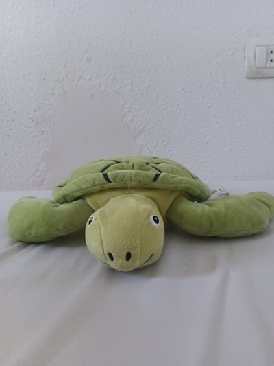 A plush green turtle toy lies on a white surface. The toy is light green with darker green accents on its shell, resembling the segments of a real turtle's shell. It has two black eyes and a smiling mouth. The turtle's flippers are extended outwards. The background is a textured white wall with a white electrical outlet on the right side. The surface the turtle is lying on appears to be a bed or a sheet. The lighting suggests daytime.
