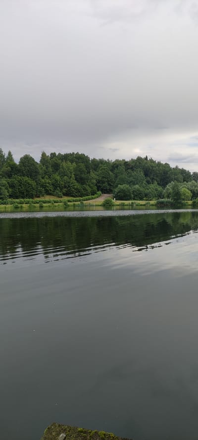 This is a vertical, medium-angle, eye-level shot of a body of water with a tree-lined shore and an overcast sky. In the foreground, the dark, still water reflects the trees and sky. The water has ripples, especially closer to the shore. The middle ground features a lush, green shoreline with a variety of trees, some with lighter green leaves and others with darker green foliage. A winding path is visible leading towards the water, with a lamppost on the right side. In the distance, the sky is a muted gray with some lighter patches, suggesting an overcast or cloudy day. The overall mood is serene and natural. There is no visible text in the image. The scene appears to be a park or natural area, possibly Angelovo, Russia, given the location context. The time of day is likely daytime, given the amount of light, but the overcast sky makes it difficult to pinpoint precisely.