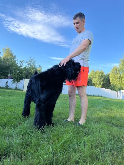 A man with short, graying hair stands in a grassy yard in Nagorny, Russia. He is wearing a gray t-shirt and bright orange shorts. A large black dog with shaggy fur stands in front of him, and the man has his hand resting on the dog's back. The yard is surrounded by trees and a white fence. The sky is blue with scattered white clouds.
