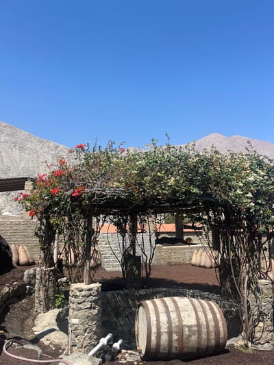 The scene is a stone courtyard in Lunahuaná, Peru, under a clear, blue sky with a partial view of a mountain in the background. A wooden trellis covered in flowering vines, with white and red blossoms, dominates the center of the frame, casting shadows onto the stonework. A weathered wooden barrel stands on a stone platform to the right, adjacent to what appears to be plumbing and a hose. The courtyard surface varies from stone to dirt, with hints of stone buildings and possibly pottery visible in the background.