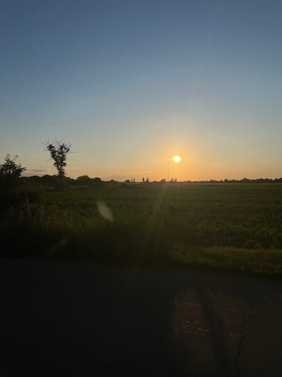 A wide-angle shot captures a rural landscape in Balatina, Moldova, during sunset. The sun, a bright orb, hangs in the clear sky, casting a warm glow across the scene. A cell tower stands in the distance, silhouetted against the horizon. In the foreground, a road stretches out, its dark surface partially obscured by shadows. A field of crops, likely corn, fills the midground, its green stalks shimmering in the fading light. A lone, skeletal tree stands sentinel on the left, its bare branches reaching towards the sky. The overall impression is one of peaceful, natural beauty.