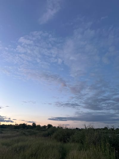 This media file captures a serene landscape at dusk, likely in the Zarechny rural district of Kazakhstan. The scene is dominated by a vast sky transitioning from a pale blue near the horizon to a deeper blue overhead. Wispy clouds, tinged with hues of white and grey, are scattered across the sky, suggesting a gentle breeze.
The lower portion of the image depicts a natural setting, characterized by dense vegetation. A line of trees forms a dark silhouette against the sky on the right side, bordering a field of tall, dry grass. Some smaller plants and wildflowers are visible interspersed within the grass, adding a touch of detail to the foreground. The overall impression is one of natural beauty and tranquility, with the soft lighting of sunset creating a peaceful atmosphere. There are no people or specific objects visible, focusing entirely on the natural environment. The time of day is clearly indicated by the soft, diffused light and the colors in the sky.