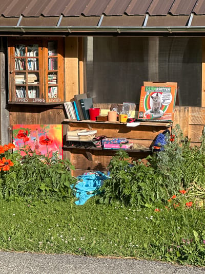 An outdoor community bookshelf is displayed against a wooden building wall in Le Sentier, Switzerland. The bookshelf has a glass-paned wooden door with multiple shelves filled with books. White text labels "LIVRES" are affixed to the exterior of the bookshelf. To the right of the bookshelf, a wooden shelf unit holds more books, a red cup, and other miscellaneous items, including a box of cat litter advertising "LITTERKWITTER." In front of the shelf unit, a colorful painting featuring poppies and the Eiffel Tower is propped up, with real poppies and lush green foliage growing in front of it. A blue folded fabric item lies on the ground near the plants. The ground in front of the display is covered in green grass with small white and pink wildflowers. A paved surface is visible in the foreground. The scene is illuminated by natural sunlight, casting shadows.