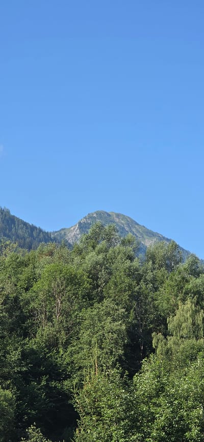 The image depicts a mountainous landscape under a clear blue sky, likely in Sankt Veit im Pongau, Austria, given the context. In the foreground, a dense canopy of lush green trees fills the lower half of the frame. These trees are varied in species and height, creating a textured wall of foliage. Behind the treeline, the middle ground features the slopes of mountains covered in a mix of dense conifer forests and some areas of exposed rock and grass. The highest peak in the background is a substantial mountain with a rugged, uneven summit, showing patches of lighter colored rock and green vegetation, suggesting it is at a significant elevation. The sky is a uniform, cloudless blue, indicating fair weather. There are no people or man-made structures visible in the image, making it a purely natural scene. The overall impression is one of serene, natural beauty.