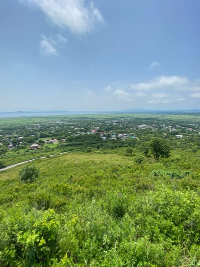 The image is a wide-angle, high-angle shot overlooking the town of Kraskino, Russia, on a clear day with scattered clouds. The foreground is dominated by lush green grass and various types of vegetation, including tall grasses and leafy bushes, with some small purple flowers visible. A winding asphalt road is visible on the left side of the frame, curving into the distance.

In the midground, the town of Kraskino is spread out, characterized by numerous residential buildings with a mix of red, green, and brown rooftops. These houses are nestled amongst dense green trees, creating a suburban or rural village atmosphere. A few larger, more structured buildings, possibly commercial or industrial, are discernible in the distance.

The background features a vast, flat expanse of green fields that lead to a body of water, likely the Bay of Posyet, a part of the Peter the Great Gulf. The water meets a distant, hazy horizon line where a faint range of hills or mountains can be seen. The sky above is a bright blue, with patches of white, fluffy clouds drifting across. The overall scene conveys a sense of a peaceful, lived-in landscape with a connection to nature. There are no people visible in the image.