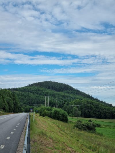 A low-angle, wide shot captures a highway running along the edge of a dense, green forest that blankets a rolling hill. The sky above is a vibrant blue, streaked with wispy white clouds. The highway, asphalted and marked with white dashed lines, curves gently to the left, bordered by a metal guardrail and a grassy verge. A few vehicles are visible on the road, their forms indistinct due to distance and motion. Power lines crisscross the upper right quadrant of the image, supported by wooden poles. The overall scene depicts a serene, natural landscape with elements of infrastructure, suggesting a location within or near a rural area like Indals-Lidens kommundel, Sweden.