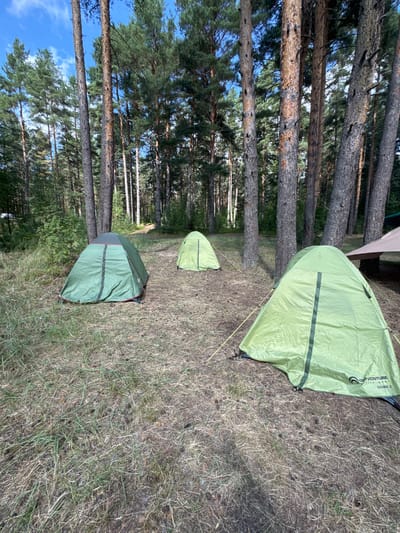 A camping scene is depicted in a forest in Portovoe, Russia. Three green tents are pitched on a grassy and pine-needle-covered ground. The foreground tent is on the right, with its entrance flap partially open, revealing a dark interior. A second tent, also green, is situated to the left and slightly behind the first, with its entrance zipped closed. A third, smaller green tent is visible further back and to the left, near a patch of dense green foliage. Tall pine trees with rough bark dominate the background, forming a dense forest canopy. The sky above is blue with scattered white clouds. A light brown tarp is visible in the far right background. The scene is an outdoor setting, likely a campsite within a forest.