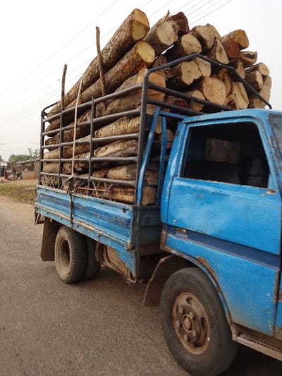 A blue, older model flatbed truck is captured from a slightly elevated side angle, heavily loaded with numerous cut logs. The truck is driving on what appears to be a paved road, possibly asphalt, which shows some wear and dust.

The truck itself is a prominent feature, painted in a faded, somewhat dirty blue. There are visible signs of wear and tear, including rust around the wheel arch of the cab and along the body panels. The cab window on the passenger side is visible, but the interior is indistinct. The truck features dual wheels on its rear axle, indicating its capacity for heavy loads, and the tires appear sturdy, though the wheels have a rustic, possibly rusty, hub.

Secured within a dark-colored, cage-like metal frame built onto the truck bed, the logs are stacked high, exceeding the height of the cab. The logs vary in size but are generally thick, with rough bark visible on some and clear-cut ends on others, revealing the light-colored wood grain. Two slender, unhewn sticks or smaller logs are propped vertically against the front of the log pile, extending above the main load, possibly serving as additional support or markers.

In the background to the left, partially obscured by the truck's structure, are hints of a rural or semi-urban setting. Distant buildings or structures can be seen, along with a few blurry figures of people. Utility poles and power lines crisscross against a bright, overcast or hazy sky. The overall impression is of a working vehicle transporting lumber, likely for construction or fuel, in a practical, unadorned manner. The time of day appears to be daytime, with soft, diffused light, suggesting a cloudy day or early morning/late afternoon. No discernible text is visible on the truck or in the surroundings.