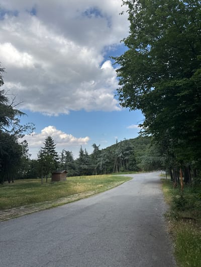 This is a vertical, outdoor, eye-level, medium shot of a paved pathway winding through a grassy area with trees on either side. The pathway is grey and appears to be asphalt. To the left of the pathway, there is a lush green lawn dotted with trees. Further to the left, a dense forest of dark green trees occupies the background. To the right of the pathway, the grassy area continues with scattered trees and a small, brown wooden shed or shelter. The sky above is a bright blue with scattered white, fluffy clouds. The lighting suggests it is daytime, likely late morning or afternoon, with good visibility. The scene conveys a sense of tranquility and natural beauty. There is no visible text in the image.