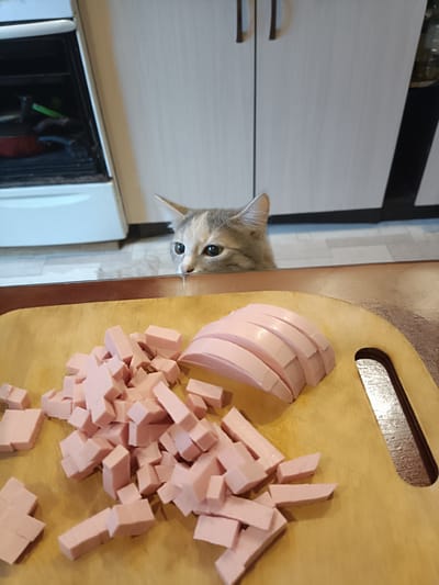 The image shows a close-up of chopped sausages on a wooden cutting board. The sausages are pink and cut into small cubes and slices. A kitten is peeking over the edge of the cutting board, looking at the sausages with wide eyes. The kitten has grey and tan fur. In the background, a kitchen counter and cabinets are visible. There is also a glimpse of a white oven. The lighting suggests it is daytime. The scene is likely in a home kitchen in Brodokalmak, Russia. The kitten appears curious and perhaps longing for a taste of the sausages.