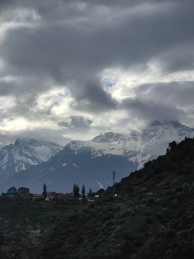 The image captures a view of the village of Kardang, India, nestled on a hillside beneath snow-capped mountains. The sky is overcast with dramatic, dark clouds, with patches of light breaking through. A cluster of buildings, seemingly residential or small commercial establishments, are visible on the upper slope of the hill. The structures vary in color and design, with some featuring pitched roofs. Tall, slender trees are interspersed among the buildings. Further down the slope, the terrain is covered in dense, dark green vegetation, with smaller structures and a telecommunications tower also visible. The background is dominated by imposing mountains with visible snow and rock formations, partially obscured by clouds and mist. The overall scene depicts a remote, mountainous settlement under a brooding sky.