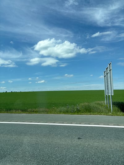 An asphalt road with a white line marking the lane runs horizontally across the bottom of the image. Beyond the road is a field of vibrant green grass, stretching to the horizon. In the distance, a line of dark green trees is visible. A large, empty metal signpost with multiple panels stands on the right side of the field, its gray metallic structure stark against the natural landscape. The sky above is a clear blue, dotted with fluffy white clouds, some wispy and stretched, others more defined. The overall scene is one of a rural, open landscape under a bright, partly cloudy sky.