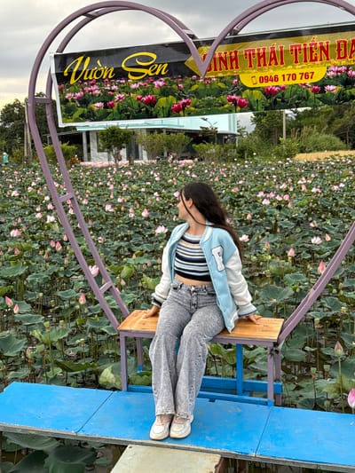 A woman in a striped top and light blue jacket sits on a blue and brown wooden platform amidst a field of lotus flowers in Hàm Thuận Bắc, Vietnam. A heart-shaped structure frames a sign that says "Vườn Sen" and lists a phone number, "0946 170 767". The background features trees and buildings, indicating an outdoor location. The woman appears relaxed as she sits on the platform surrounded by the lush floral environment.