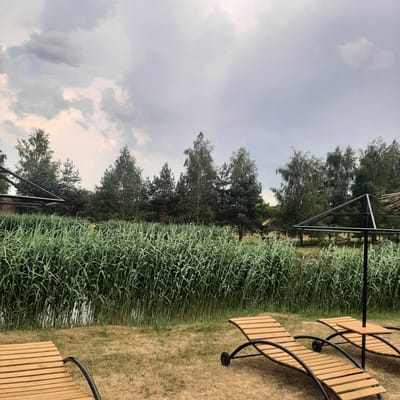 The image depicts an outdoor scene, likely a resort or recreational area, located in Dubrivka, Ukraine. In the foreground, two wooden lounge chairs with black metal frames are positioned on a dry, grassy area. Behind the lounge chairs, a dense wall of tall, green reeds lines the edge of a body of water. In the background, a line of trees, including pines and deciduous varieties, forms a backdrop against a cloudy sky. A partially visible structure with a metal frame and thatched roof is situated to the right, and another similar structure is seen on the left, partially obscured by trees and reeds. The overall atmosphere suggests a tranquil, natural setting.