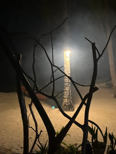 This media file depicts a tropical beach scene at night, with a strong light source illuminating a palm tree and casting shadows from silhouetted branches in the foreground. The sand of the beach is visible, with a textured wall or building in the background, suggesting a resort or coastal dwelling. The lighting creates a dramatic, somewhat mysterious atmosphere, with a mist or fog catching the light around the palm tree. The time of day is clearly night, and the overall mood is serene and possibly tranquil, despite the stark contrasts. No people are visible in the frame, nor is any text. The location cues, like the palm tree and beach, combined with the provided context of Legonipah, Indonesia, suggest a warm, possibly humid environment, common to Southeast Asia. The scene is static, with no specific activity taking place beyond the ambient lighting and natural elements. The focus is on the interplay of light and shadow on the tropical landscape.