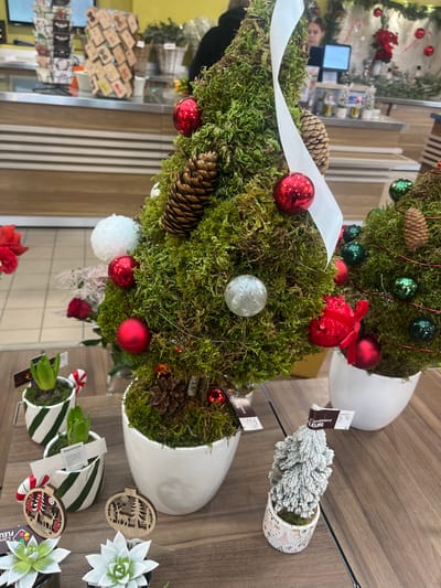The scene depicts a retail display of festive decorative items inside a store in Aiguilhe, France. In the foreground, a prominent, cone-shaped decorative object resembling a Christmas tree is visible, composed of green moss and adorned with various red, silver, and white spherical ornaments, multiple pinecones, and a single white ribbon cascading down its front. This object rests in a white ceramic pot. To its immediate right, a similar, smaller moss-covered tree stands in another white pot, decorated with green and red spherical ornaments and a single pinecone.

On the wooden display surface in front and to the left of the main moss tree, several other items are arranged. These include two small potted hyacinths in white ceramic pots with green diagonal stripes, each featuring a red and white striped candy cane pick. Two distinct wooden Christmas ornaments are present: one depicting a forest scene with a reindeer, and another with only trees. Two small succulents in dark pots with frosted tips are also visible. A miniature flocked Christmas tree in a patterned pot stands further to the right. Price tags or descriptive labels are attached to several of these display items.

In the mid-ground and background, the interior of a retail establishment is discernible. A long counter with a light-colored, possibly wooden, slatted front extends across the scene. Behind this counter, various merchandise is displayed, including tiered racks of small items, baskets, and floral arrangements. Two individuals are present in the background: one person, largely obscured, wears dark clothing behind the counter, while another person, appearing to be female, is partially visible operating a computer terminal further to the right. The flooring consists of light-colored tiles, and the background walls are light, possibly yellowish, indicating an indoor commercial setting.