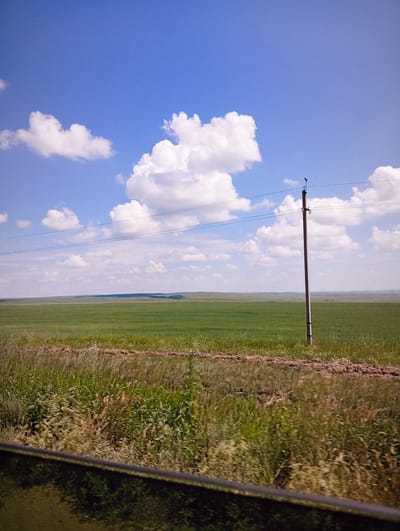 A wide, horizontal landscape image depicts a vast, green field under a bright blue sky with scattered white clouds. In the middle ground, a solitary, weathered utility pole stands tall, with power lines stretching horizontally across the frame. A small, dark bird is perched on top of the pole. The foreground is filled with overgrown grass and vegetation, and a dark, reflective surface, possibly a car window, runs along the bottom edge of the image. The scene appears to be a rural or open area, consistent with the outskirts of Aleksandrovka, Kazakhstan, characterized by expansive farmlands and a clear sky.