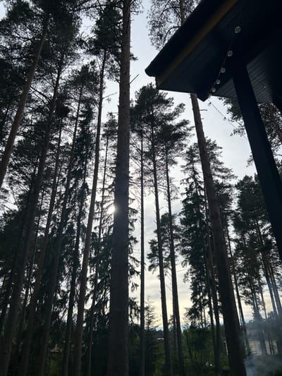 The image captures a view upwards through a dense forest of tall pine trees, silhouetted against an overcast sky. The perspective is from beneath a dark, angled roof structure adorned with a string of clear light bulbs. In the background, partially obscured by the trees, is a light-colored building with architectural features suggestive of a house, and a plume of light gray smoke rises from the ground. The scene appears to be in the area of Shepelyovo, Russia, likely an outdoor setting adjacent to a residential structure within a wooded environment.