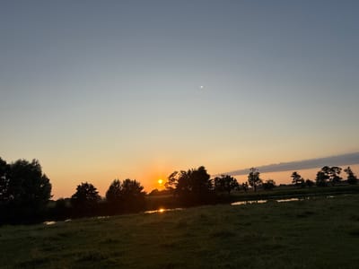 A serene, wide-angle shot captures the tranquil sunset in Boriskino, Russia. The sky transitions from a pale blue at the top to a warm gradient of orange and yellow near the horizon, where the sun, a brilliant orb, is partially obscured by silhouetted trees. A faint moon hangs in the upper portion of the sky. In the foreground, a grassy meadow slopes gently towards a calm body of water that reflects the warm hues of the sunset. Scattered trees and bushes dot the landscape, their dark forms contrasting with the illuminated sky and water. The overall impression is one of peaceful natural beauty at dusk.