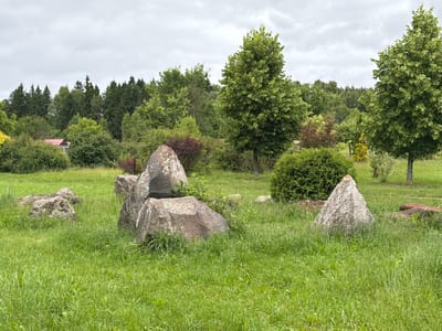 The image depicts a lush, green landscape with several large rocks scattered across a grassy field. In the background, a dense forest of various trees forms a natural backdrop. A single, tall tree stands prominently in the middle ground, its leaves a vibrant green. The sky is overcast, suggesting a cloudy or possibly rainy day. A small building with a red roof is partially visible amongst the trees on the left side of the image. The overall scene is serene and natural, with no people or animals visible. The time of day is indeterminate due to the cloudy weather. The location is Akatovo, Russia.