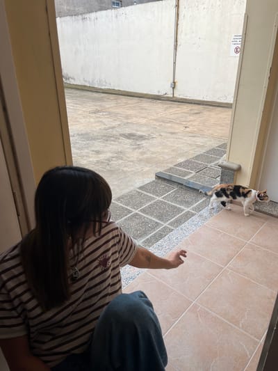 A slightly high-angle shot depicts a woman indoors with long dark hair, wearing a striped shirt and blue jeans, reaching out towards a calico cat standing on a tiled surface. The cat is near a doorway. Outside the doorway is a concrete area. A sign on the wall reads "PROHIBIDO ESTACIONAR AUTOMOVILES Y BICICLETAS" with an "E" inside a red circle and a line through it. Based on the sign, it is potentially the city of Bahía Blanca, Argentina.