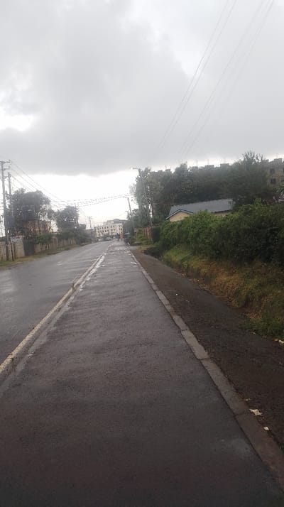A street scene under a cloudy sky. The road is wet and stretches into the distance, flanked by a sidewalk on the right and a white line marking the edge on the left. Buildings are visible in the background, partially obscured by trees and bushes. Power lines crisscross the sky. The overall mood is gray and overcast.