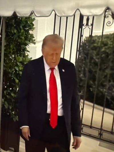 A Caucasian male, Donald Trump, is depicted in a three-quarter view, looking downwards. He wears a dark suit, a white dress shirt, and a red tie, with an American flag lapel pin visible on his left lapel. His hands are positioned at his sides. Overhead, a white scalloped awning or tent structure is visible. To the left, a large green plant in a dark rectangular planter is present. To the right, a dark, ornate metal gate or fence with vertical bars and scrollwork patterns is visible, with additional green foliage beyond it. The scene is located in the city of Richmond, United States.