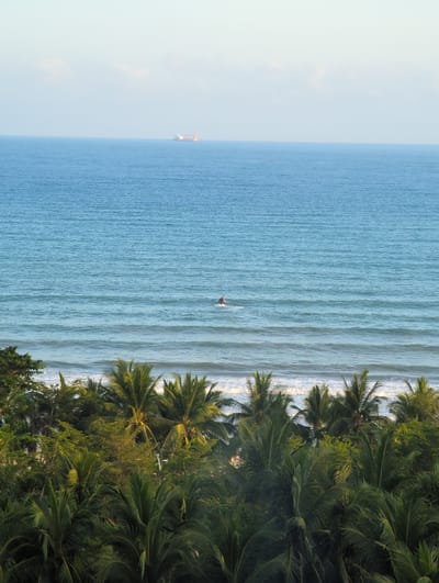 The image depicts a coastal scene with a calm blue ocean stretching towards the horizon. A large ship with a red crane is visible in the distance on the ocean. Closer to the shore, a person is riding a jet ski. In the foreground, a dense canopy of palm trees and other lush green vegetation lines the coastline. The sky above is a pale blue with a few wispy clouds. The scene appears to be bathed in soft, natural light, suggesting either early morning or late afternoon.