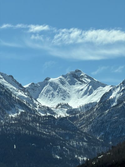 The image displays a vast mountainous landscape located near Saint-Chaffrey, France. Prominent snow-covered peaks and upper slopes dominate the central and upper portions of the scene, glistening under bright sunlight. Below the snowline, dense coniferous forests, characterized by dark, slender trees, cascade down the lower and mid-slopes, forming deep valleys. The sky above is clear blue, traversed by a few elongated, wispy white clouds. No individuals, man-made structures, or specific actions are discernible within the natural environment.