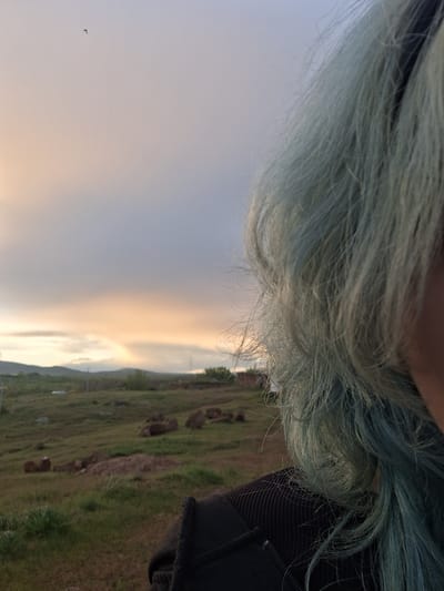 The image shows a view of a landscape and the sky, with a person's teal-colored hair and part of their black jacket in the foreground. The sky is overcast with a gradient of light gray to golden hues. In the background, a grassy field with patches of darker soil or rocks extends towards a distant mountain range. Anipemza, Armenia, is not discernable in this image.